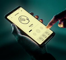 Denebrix AI Software & App Development