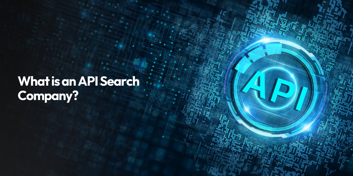 What is an API Search Company?
