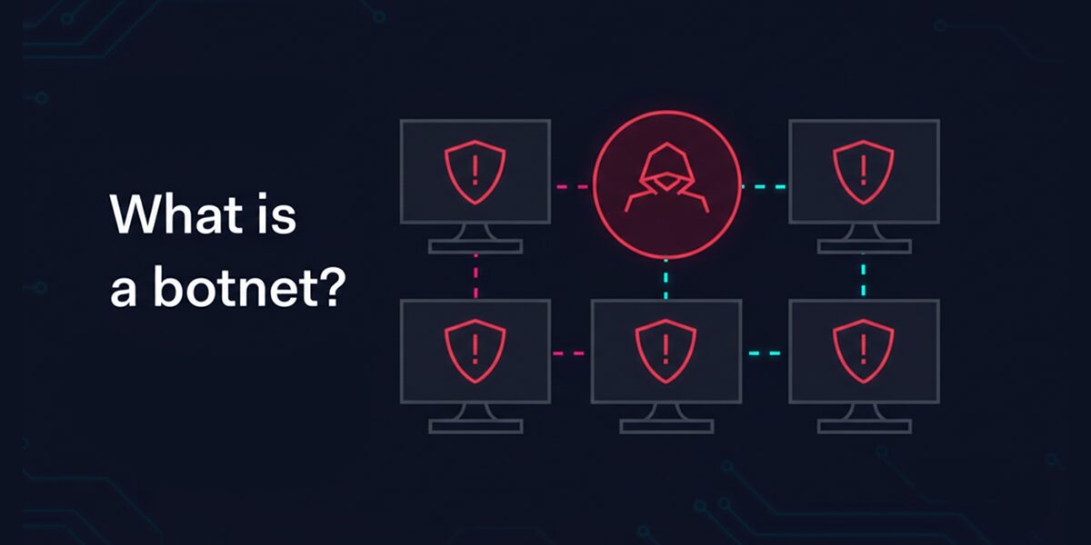 What Is a Botnet?